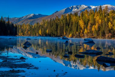 Kanas 'ta sonbahar manzarası manzarası, Xinjiang, Çin