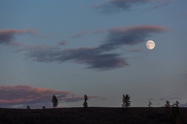 Kanas 'ta sonbahar manzarası manzarası, Xinjiang, Çin