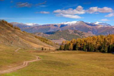 Kanas 'ta sonbahar manzarası manzarası, Xinjiang, Çin