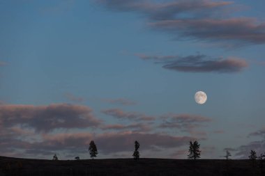 Kanas 'ta sonbahar manzarası manzarası, Xinjiang, Çin