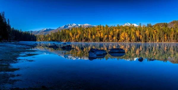 Kanas 'ta sonbahar manzarası manzarası, Xinjiang, Çin
