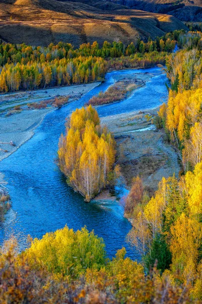 Kanas 'ta sonbahar manzarası manzarası, Xinjiang, Çin