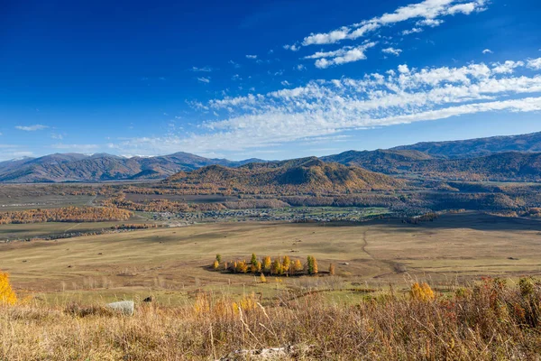 Kanas 'ta sonbahar manzarası manzarası, Xinjiang, Çin