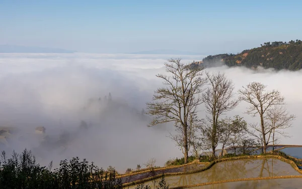 Cloud Sea Yuanyang Rice Terraces Nightfall — Stock Photo, Image