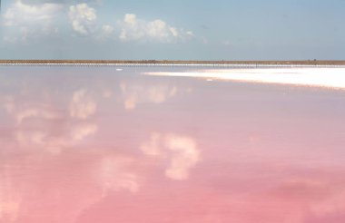 Pembe tuz gölü. Tuz endüstrisi - pembe tuzun çıkarılması. Doğanın mucizesi. Muhteşem bir manzara. Mavi gökyüzü ve bulutlar pembe suya yansıyor.