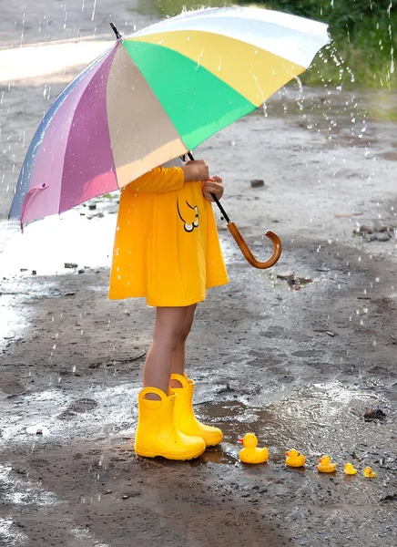 A girl in a yellow dress and yellow rubber boots lets a family of yellow ducks in a puddle. Bright picture of summer holidays. Summer rain. Spring Girl under a rainbow umbrella