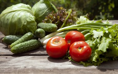 Taze sebze, salatalık, salata Lola Rossaa ve Lola Bianca, yeşil soğan, lahana sağlıklı besleniyor. GDO 'suz Organik Sebzeler,% 100 Vegan Vejetaryen Zayıflatan Diyet Tahta Arkaplan