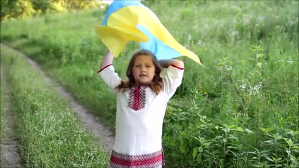 Ουκρανία Κυματίζει Μπλε Και Κίτρινη Σημαία Στα Χέρια Του Μικρού — Αρχείο Βίντεο
