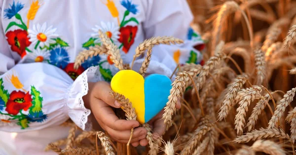 Coeur Jaune Bleu Des Épillets Blé Dans Les Mains Enfant — Photo