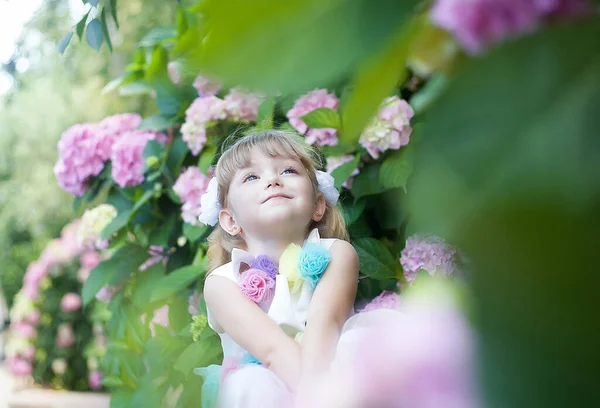 小さな女の子が夕日の庭にアジサイの花の茂みにあります 花はピンク ライラック ラベンダーで 街の通りに咲きます ユニコーンのドレスを着た子供 子供時代 優しさの概念 — ストック写真