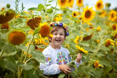 Nakışlı gömlekli mutlu bir Ukraynalı kız ve elinde sarı ve mavi bir bayrak olan bir çiçek çelengi ayçiçeği tarlasında. Ukrayna 'nın Bağımsızlık Günü. Ulusal bayrak günü