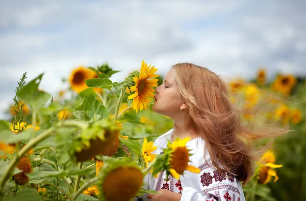 A beautiful girl in an embroidered shirt with fluttering hair sniffs a sunflower flower. Ukraine\'s Independence Day. Postcard, poster, calendar