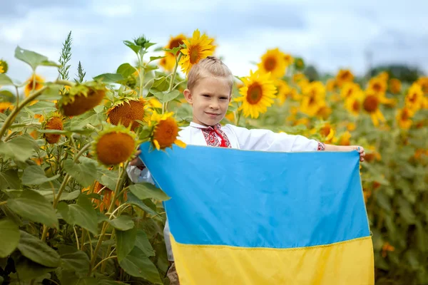 Українець Козак Вишитій Сорочці Жовтим Синім Прапором Руках Полі Соняшників — стокове фото