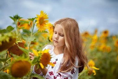 Nakışlı gömlekli, dalgalı saçlı güzel bir kız ayçiçeğine bakıyor. Ukrayna 'nın Bağımsızlık Günü. Kartpostal, poster, takvim