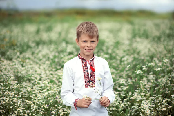 Smiling Ukrainian Kozak Boy Embroidered Shirt Field Daisies Branch Wild — Stock Photo, Image