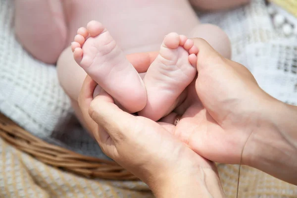 Nyfödda Barn Fötter Närbild Föräldrarnas Händer Graviditet Moderskap Förberedelse Och — Stockfoto