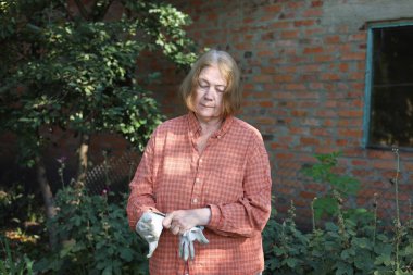 Güzel yaşlı bayan bahçede güllerini kesiyor, hasat yapıyor. Gülümseyen yaşlı kadın bahçıvan karışık bir sınırda çiçek ve bitkilerle ilgileniyor. Emeklilik hobisi. Rötuş yok.