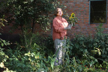 Güzel yaşlı bayan bahçede güllerini kesiyor, hasat yapıyor. Gülümseyen yaşlı kadın bahçıvan karışık bir sınırda çiçek ve bitkilerle ilgileniyor. Emeklilik hobisi. Rötuş yok.