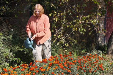 Güzel yaşlı bayan bahçede güllerini kesiyor, hasat yapıyor. Gülümseyen yaşlı kadın bahçıvan karışık bir sınırda çiçek ve bitkilerle ilgileniyor. Emeklilik hobisi. Rötuş yok.