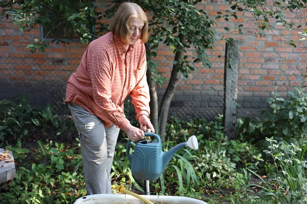 Güzel yaşlı bayan bahçede güllerini kesiyor, hasat yapıyor. Gülümseyen yaşlı kadın bahçıvan karışık bir sınırda çiçek ve bitkilerle ilgileniyor. Emeklilik hobisi. Rötuş yok.