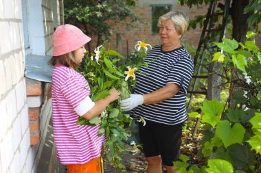 Bahçede çalışan torunuyla mutlu bir büyükanne. rötuş yok