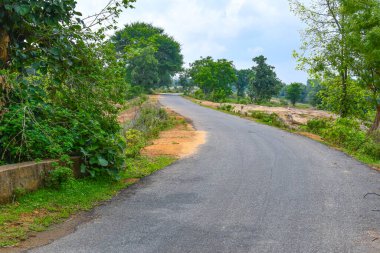 Yeşil Doğa Görünümü Arasındaki Güzel Yol Harika Görünüm 01.