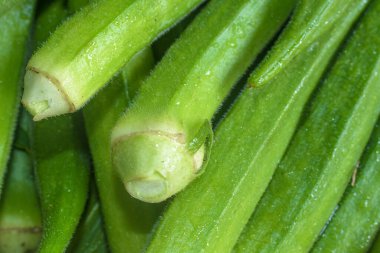 Taze Yeşil Bayanlar Parmak Sebze Makro Yakın Görüntü.