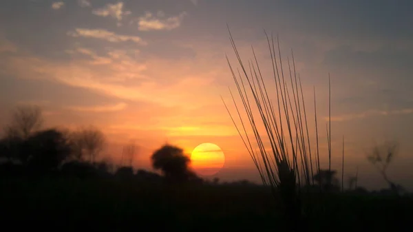 Puesta Sol Campo Trigo Hermoso Paisaje Puesta Del Sol Naturaleza — Foto de Stock