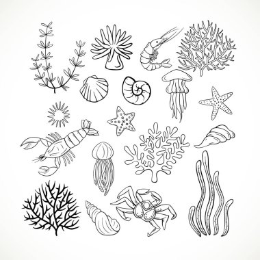 El yapımı deniz yaşamı seti. Doodle deniz yaşamı..