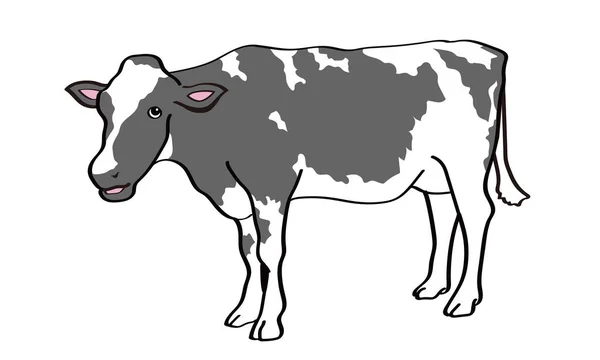 Staande Zwart Witte Koe Van Opzij Gezien — Stockvector