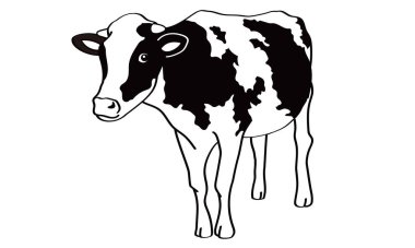 Yeni yıl kartı için inek tasviri