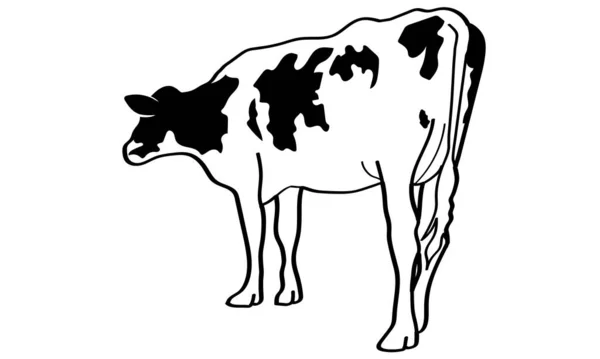 Illustration Vache Pour Carte Nouvel — Image vectorielle