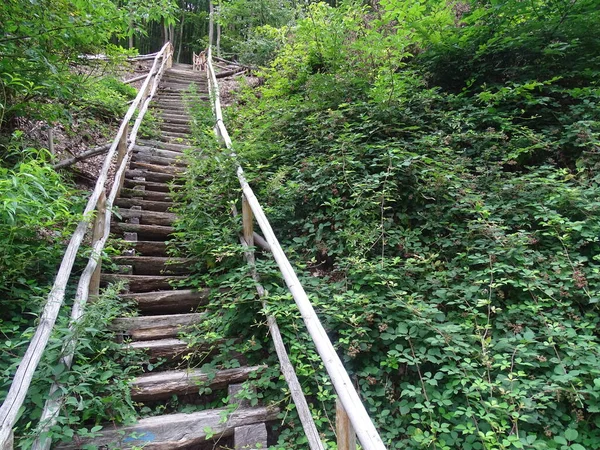 Escaliers Anciens Dans Cadre Rheinsteig Rhin — Photo