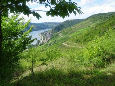 Lorch am Rhein şüphesiz Ren Vadisi gezisinin en önemli anlarından biridir. Köy çok romantik ve şarap dünyaca ünlü..