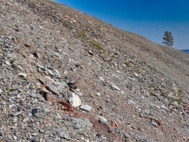 Yılda bir kez Sangerhausen / Alman yakınlarındaki bu maden çöplüğüne tırmanabilirsin..