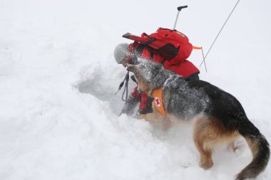 Sofya, Bulgaristan - 18 Ocak 2016: Bulgar Kızılhaç 'taki Dağ Kurtarma Servisi' nden kurtarıcı ve köpeği, halkı bir çığ altında kurtarma amaçlı bir eğitime katılıyor.