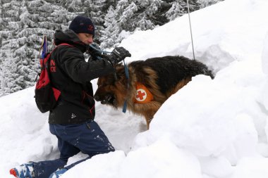 Sofya, Bulgaristan - 18 Ocak 2016: Bulgar Kızılhaç 'taki Dağ Kurtarma Servisi' nden kurtarıcı ve köpeği, halkı bir çığ altında kurtarma amaçlı bir eğitime katılıyor.