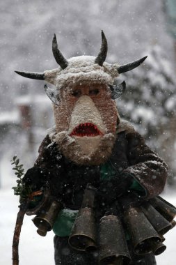 Breznik, Bulgaristan - 16 Ocak 2016: Bulgaristan 'ın Breznik kentinde düzenlenen Maskeli Balo Festivali' nde geleneksel Kukeri kostümlü kimliği belirsiz kişiler görülüyor.