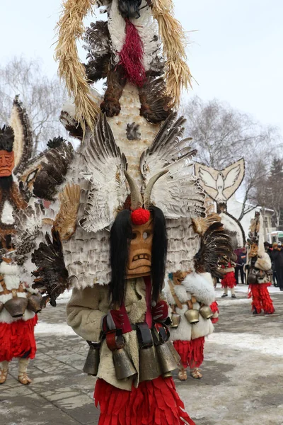 Breznik Bulgaria Enero 2017 Personas Identificadas Con Disfraces Tradicionales Kukeri — Foto de Stock