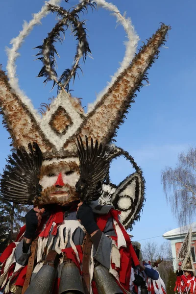 Breznik Bulgaria Enero 2017 Personas Identificadas Con Disfraces Tradicionales Kukeri — Foto de Stock