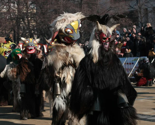 Pernik Bulgaristan Ocak 2016 Bulgaristan Pernik Kentinde Maskeli Balo Festivali — Stok fotoğraf