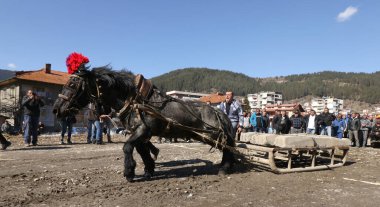 Chepelare, Bulgaristan - 4 Mart 2017: Bulgaristan 'ın Chepelare kasabasında düzenlenen geleneksel 
