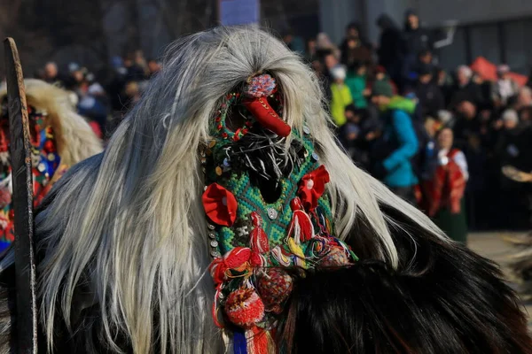 Pernik Bulharsko Ledna 2019 Lidé Maskou Zvanou Kukeri Tančí Vystupují — Stock fotografie