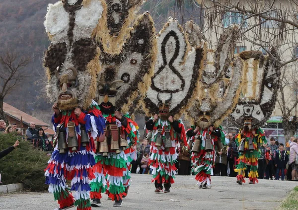 Zemen Bulgária 2019 Március Masquerade Festival Surva Zemen Bulgaria Kukeri — Stock Fotó