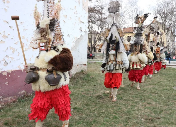 Zemen Bulgária 2019 Március Masquerade Festival Surva Zemen Bulgaria Kukeri — Stock Fotó