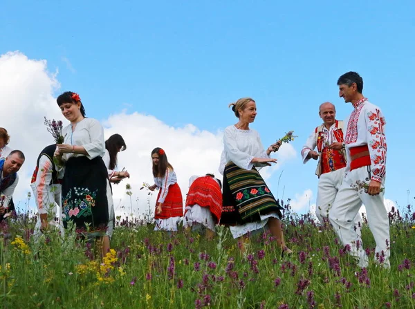 Vratsa Bulgaria June 2018 People Traditional Authentic Folklore Costume Pick — Stok fotoğraf