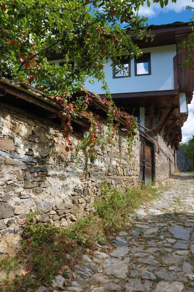 Anciennes Maisons Dans Réserve Culturelle Historique Village Dolen Bulgarie Dolen — Photo