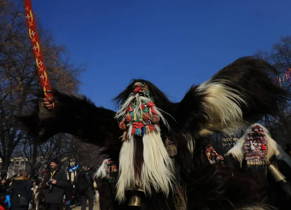 Pernik Bulgaria Gennaio 2019 Festival Maschera Surva Pernik Bulgaria Persone — Foto Stock