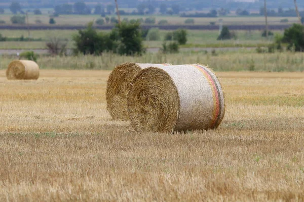 Harvested Straw Field Dry Hay Bales Front Mountain Range Cut — Stock Photo, Image