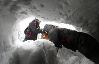 Sofya, Bulgaristan - 18 Ocak 2016: Bulgar Kızılhaç 'taki Dağ Kurtarma Servisi' nden kurtarıcı ve köpeği, halkı bir çığ altında kurtarma amaçlı bir eğitime katılıyor.